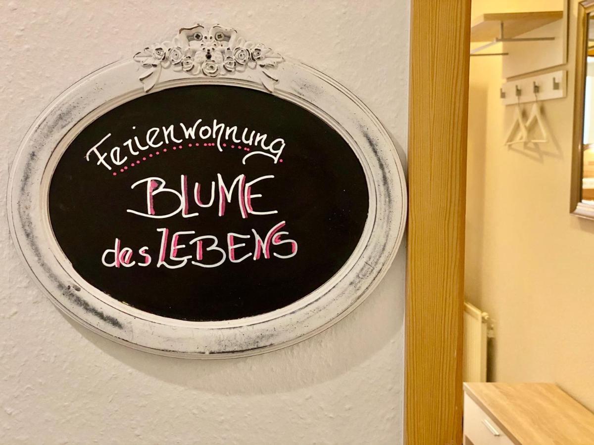 Gesundheitshof Denker Lägenhet Reußenköge Exteriör bild