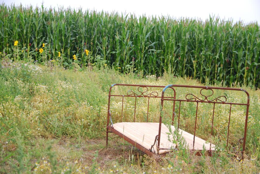 Gesundheitshof Denker Lägenhet Reußenköge Exteriör bild