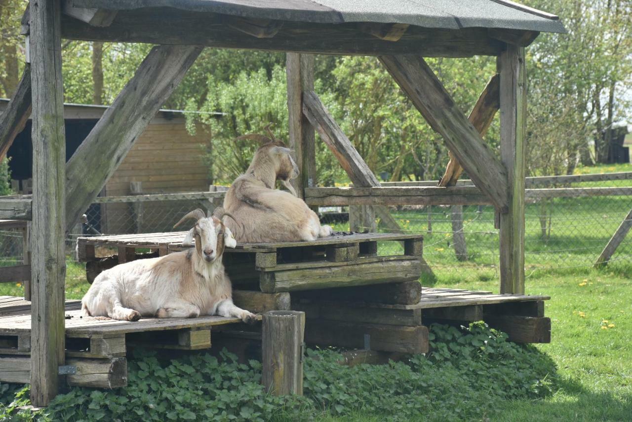 Gesundheitshof Denker Lägenhet Reußenköge Exteriör bild
